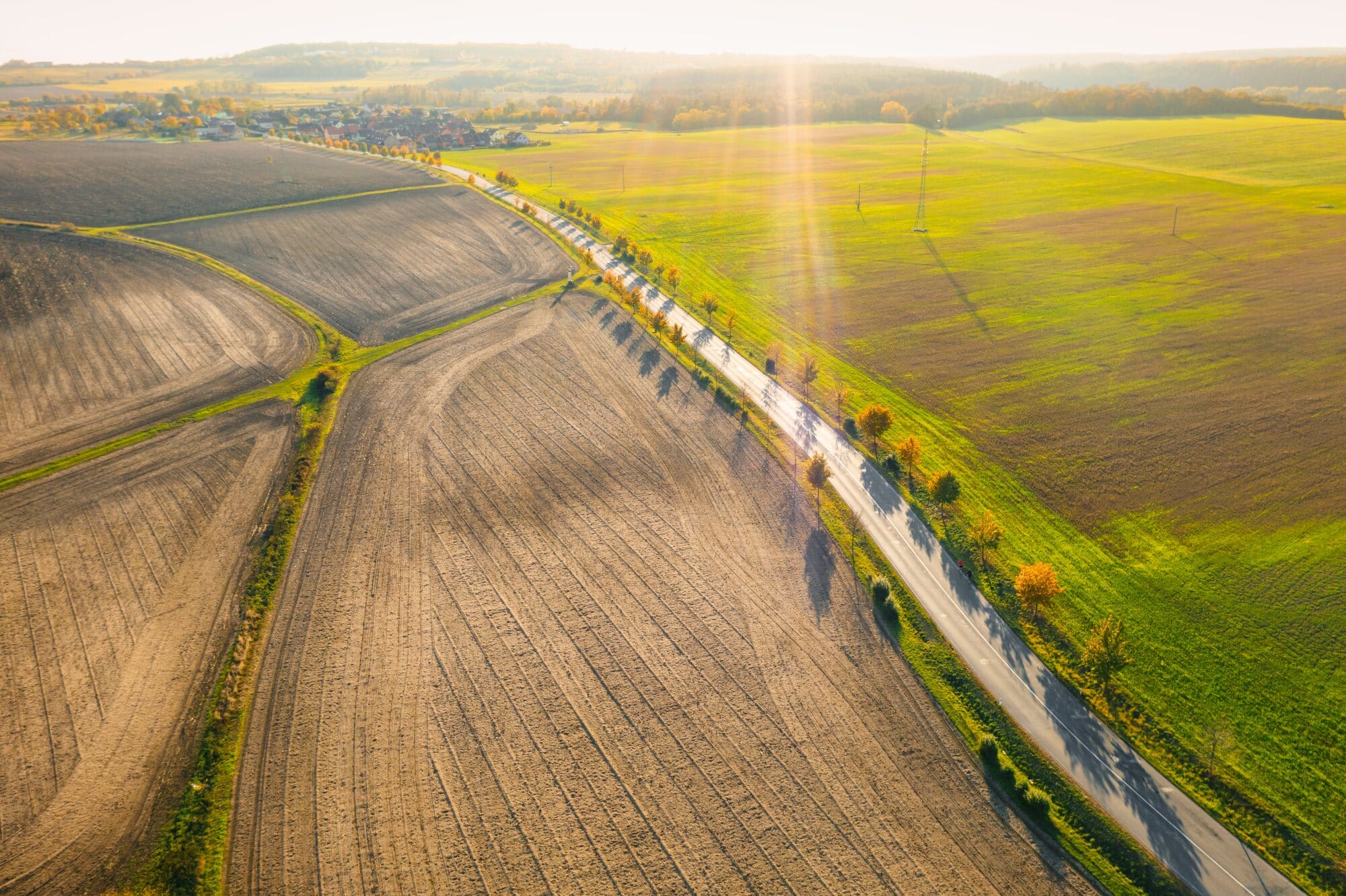Agriculture Field