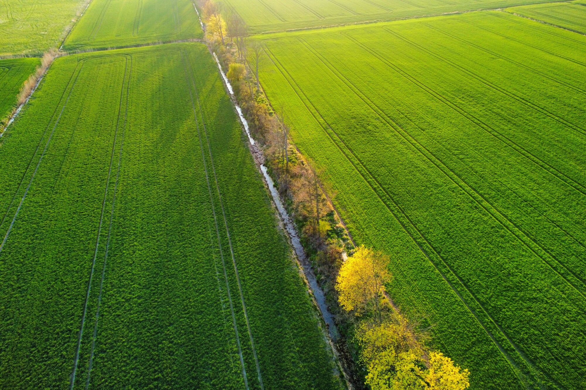 Agriculture & Environmental